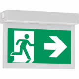 GuideLed 20m Ceiling - Self-contained exit sign